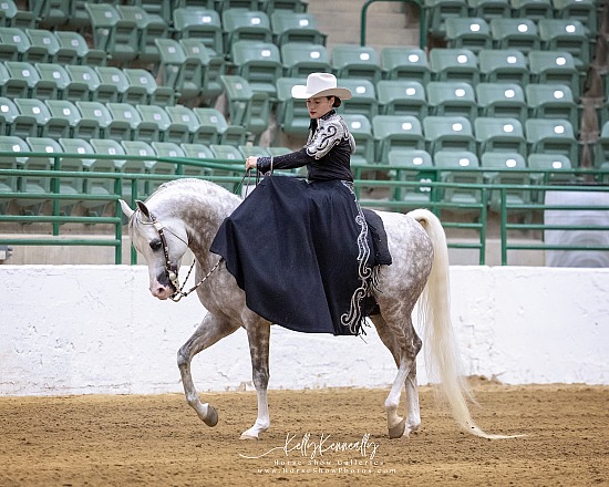 Regional Championship Show