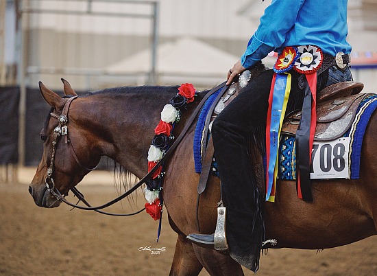 Reining & Horsemanship