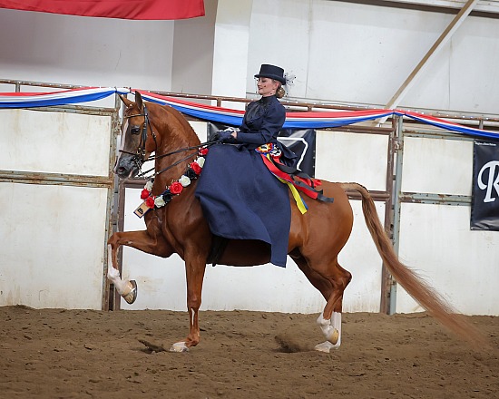 Native Costume & Side Saddle