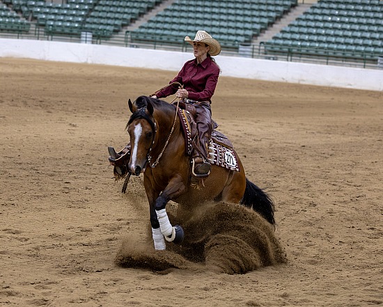 Reining